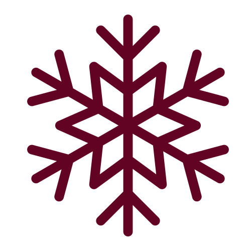 Snow flake icon
